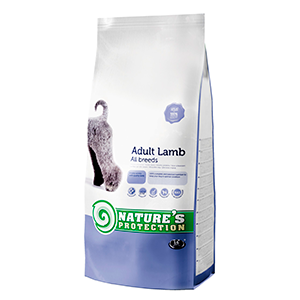 Adult Lamb