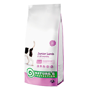 Junior Lamb
